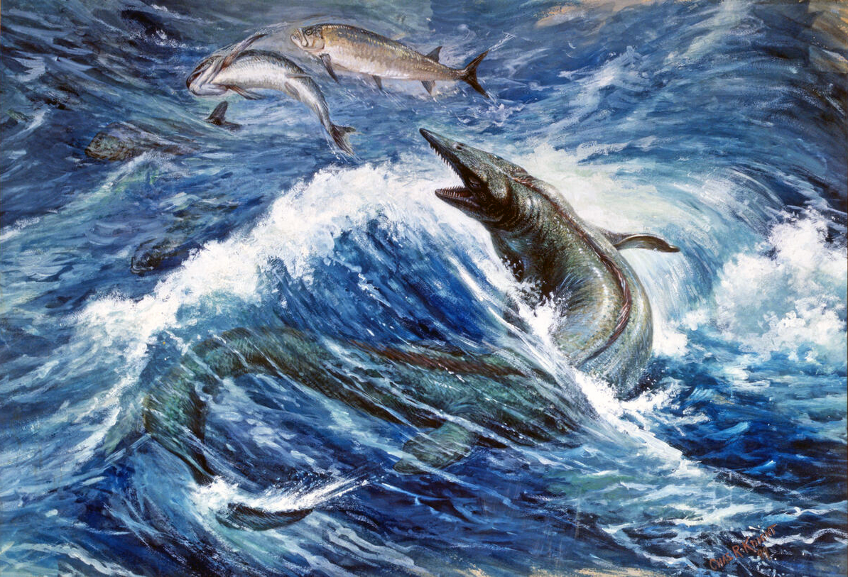 An artist depiction of the extinct marine reptile Tylosaurus.