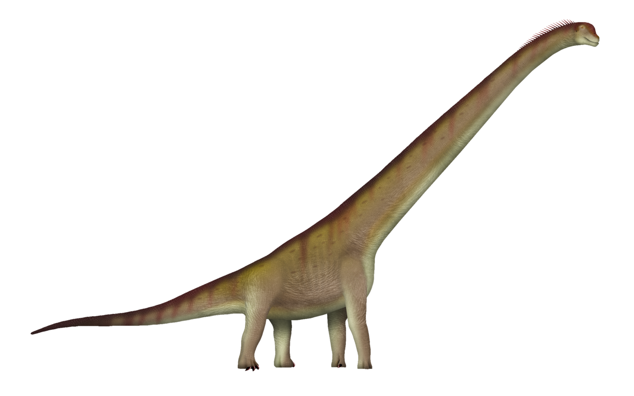 The long-neck sauropod dinosaur Sauroposeidon.