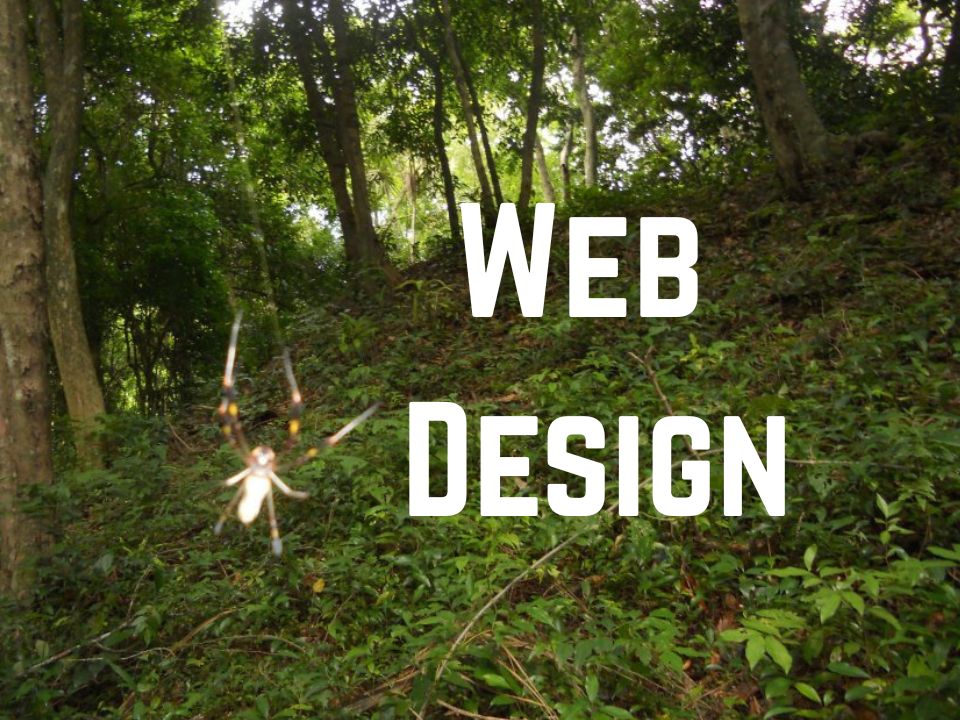 visit Web Design news