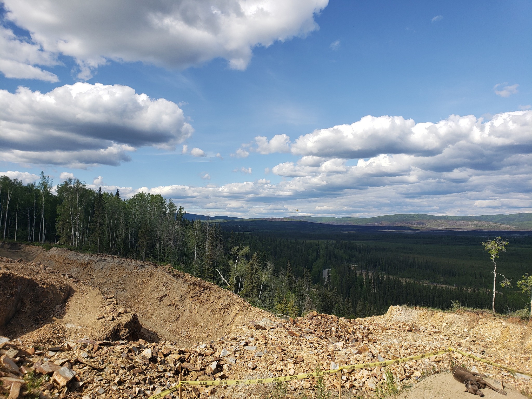 The Tanana River Valley seen from atop a bluff